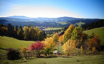 Herbstzauber im Familienhotel Berger: Natur, Spaß & Genuss in der Steiermark - Kinderhotel.Info