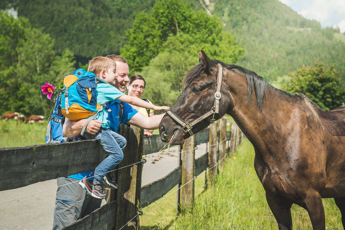 Familienurlaub am Bauernhof im Familotel Landgut Furtherwirt - Kinderhotel.Info