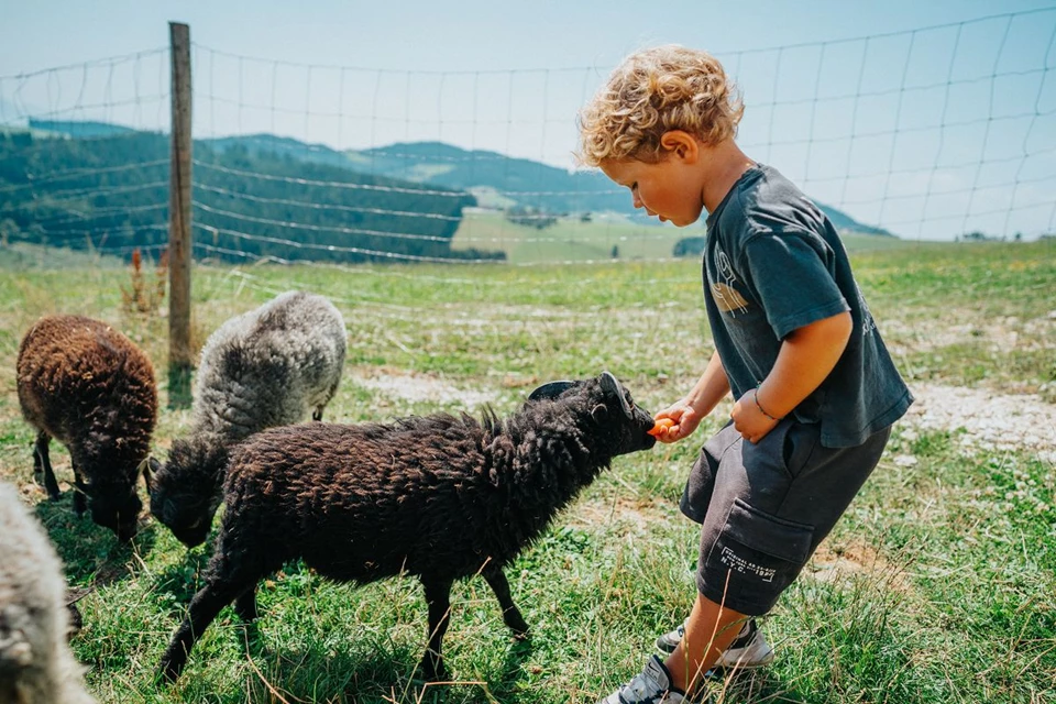 Familien Resort Petschnighof