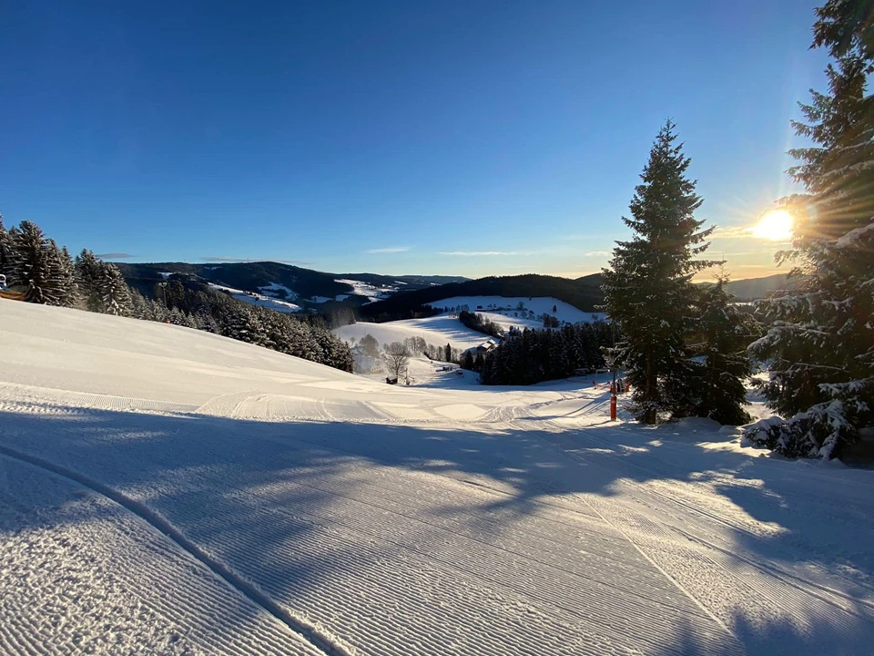 Familienschiberg St. Jakob im Walde