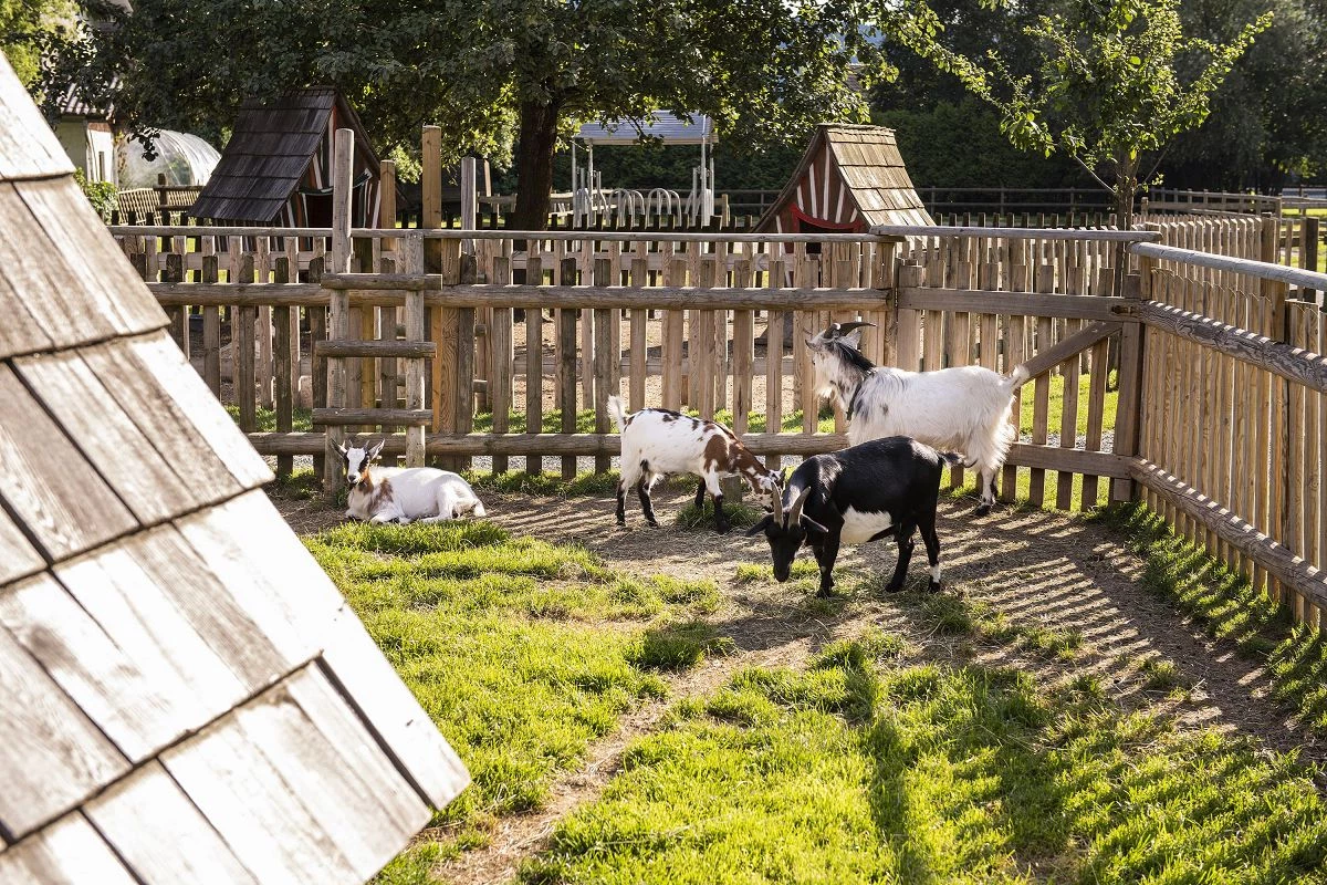 Familiengut Burgstaller