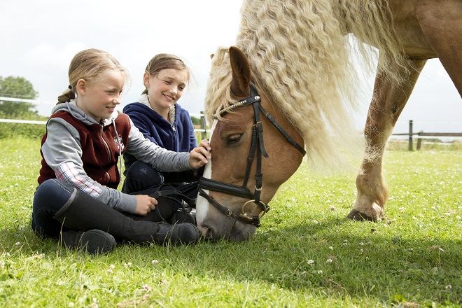 Pferde-Urlaub für Kinder