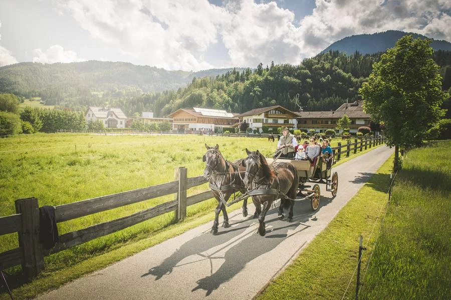 Gespannfahren am Landgut Furtherwirt