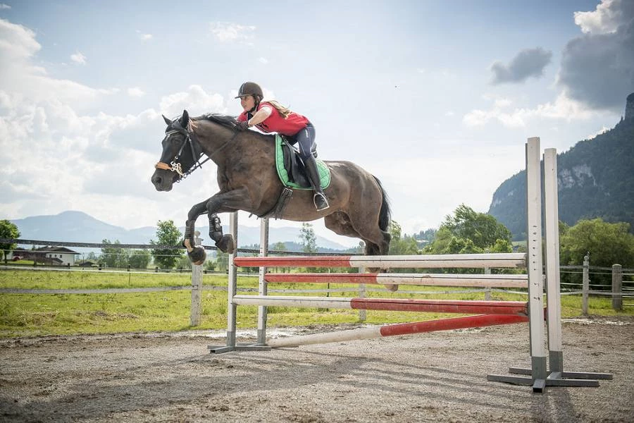 Reiten am Landgut Furtherwirt