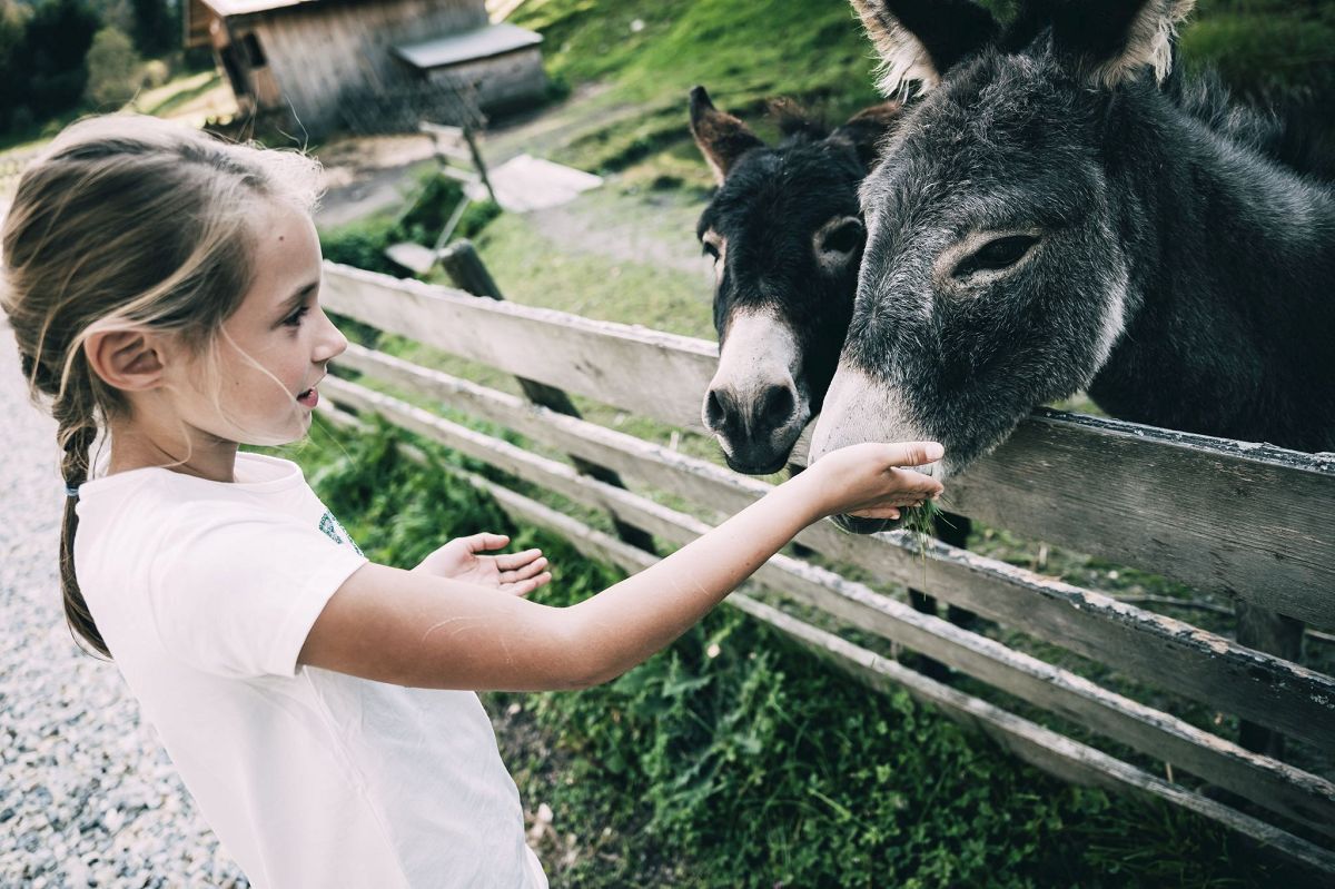 Original Kinderhotels Europa