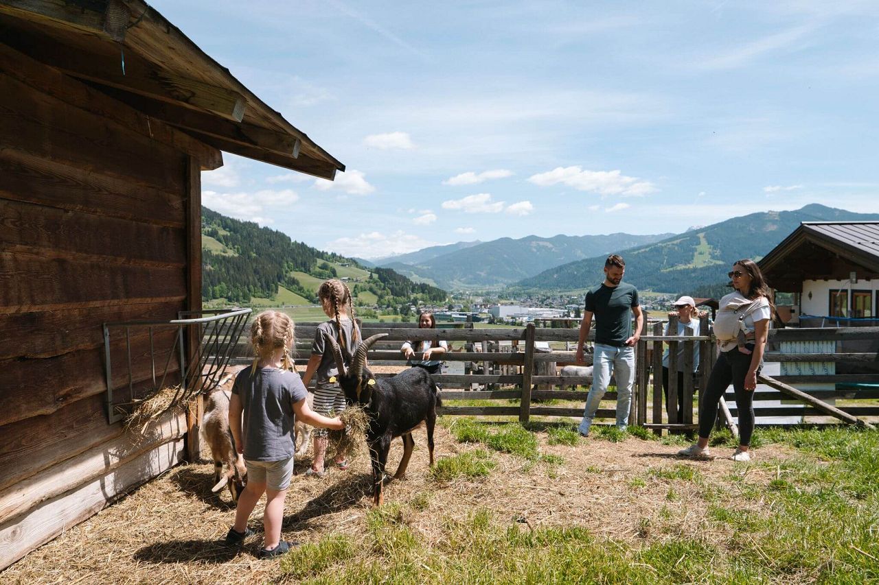 Familienhotel Felsenhof