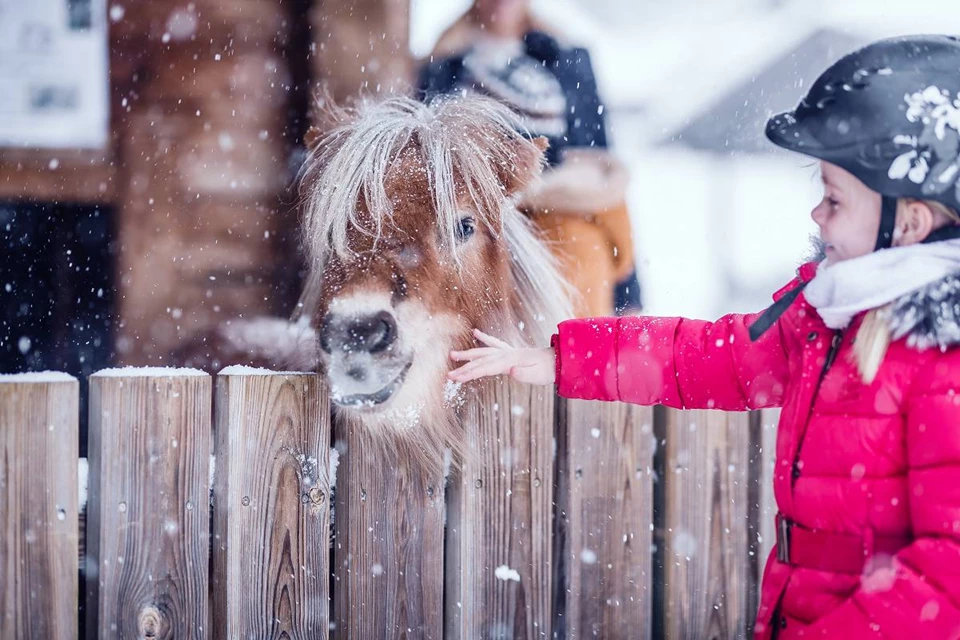 Familienresort Ellmauhof