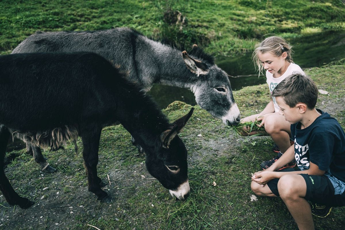 Mini-Bauernhof im Kinderhotel Stegerhof