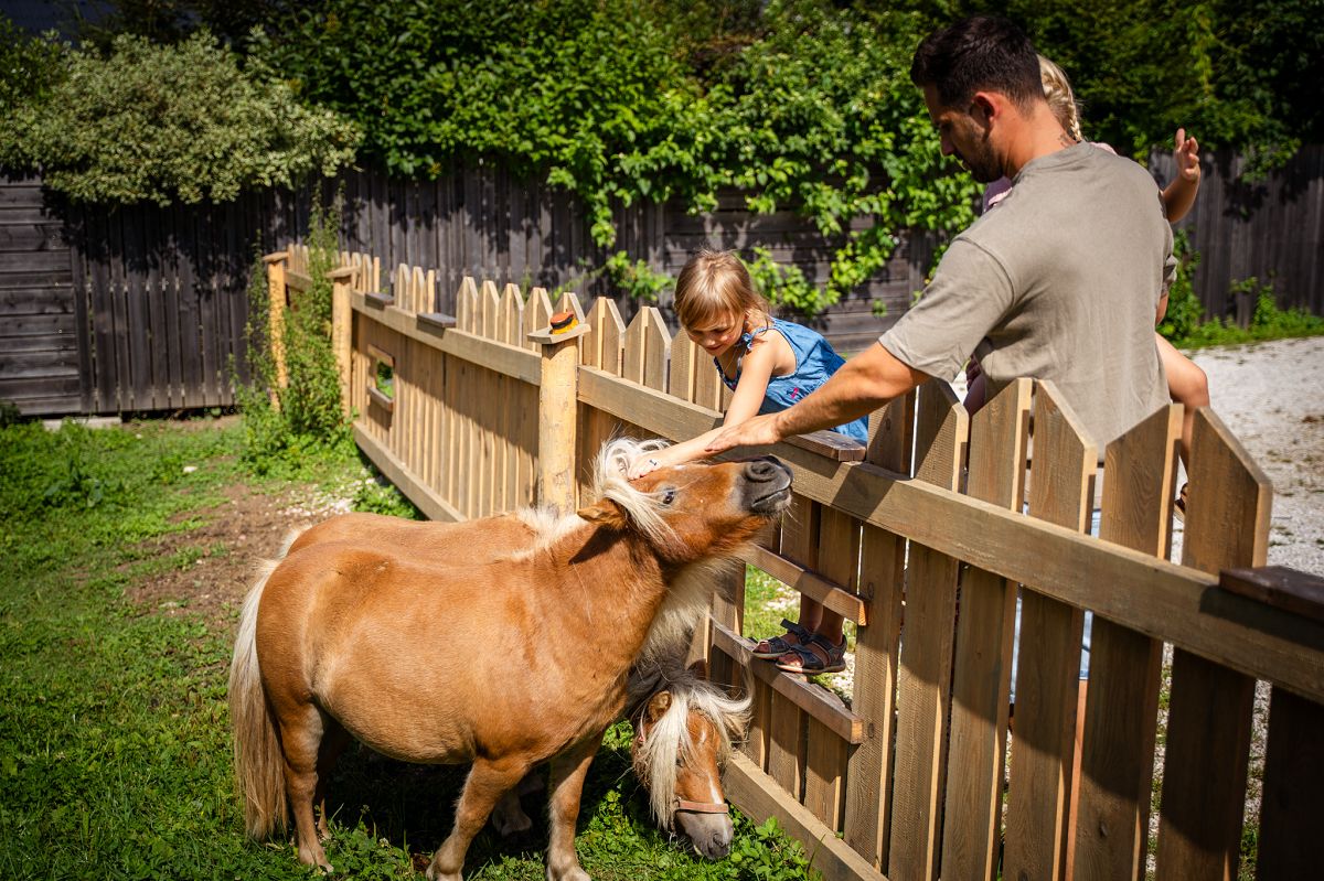 Dilly - Das Nationalpark Resort