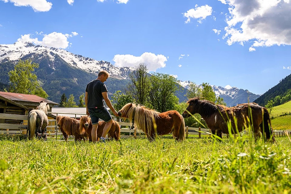 Familien-Clubhotel Wolkensteinb&auml;r