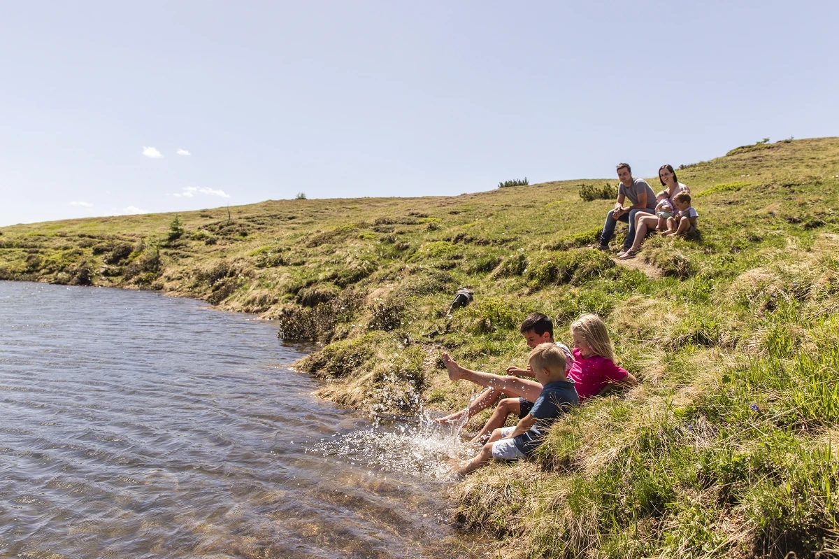 Almfamilyhotel Scherer