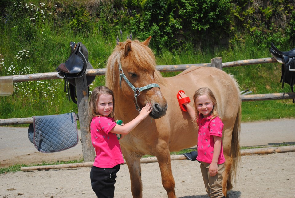 Zwei Kinder striegeln ein Pferd