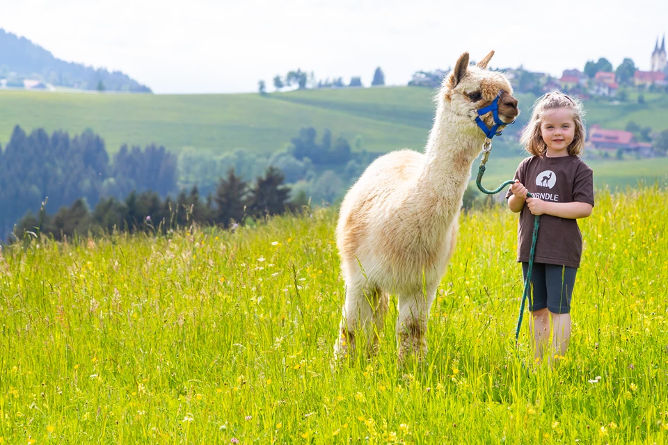 Kind mit Alpaka auf einer Wiese