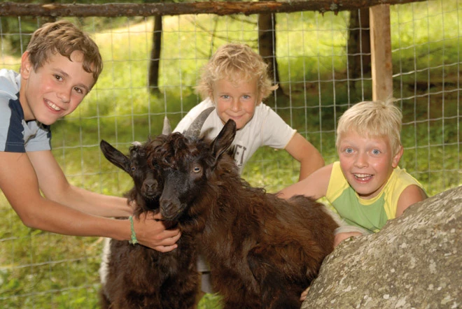 Streichelzoo beim Hotel Nockalm