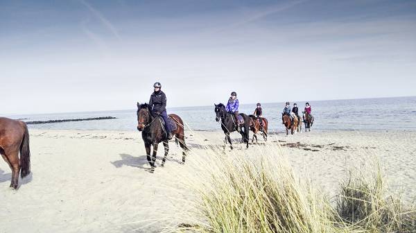 Kinder reiten auf Pferden an der Ostsee