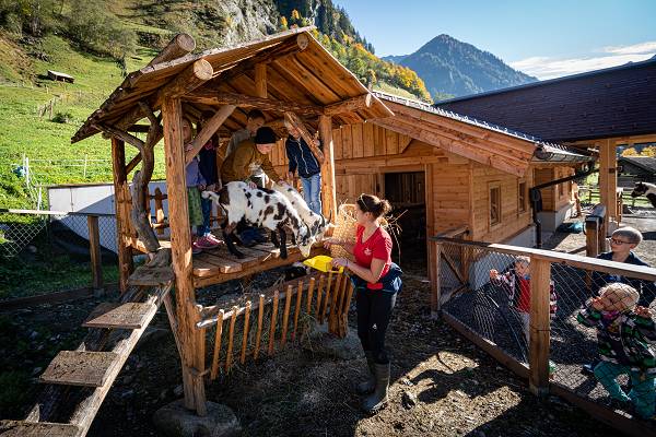 Bauernhoferlebnisse im Familienhotel Oberkateis im Gro&szlig;arltal