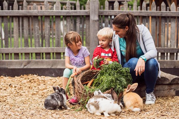 Moar Gut: Zahlreiche Tierarten im Streichelzoo