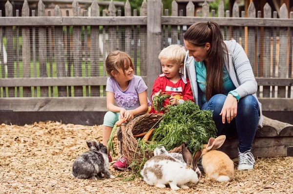 Moar Gut: Zahlreiche Tierarten im Streichelzoo