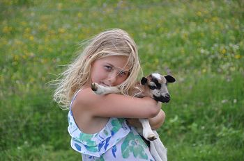 Kind mit kleiner Ziege im Familien Resort Petschnighof