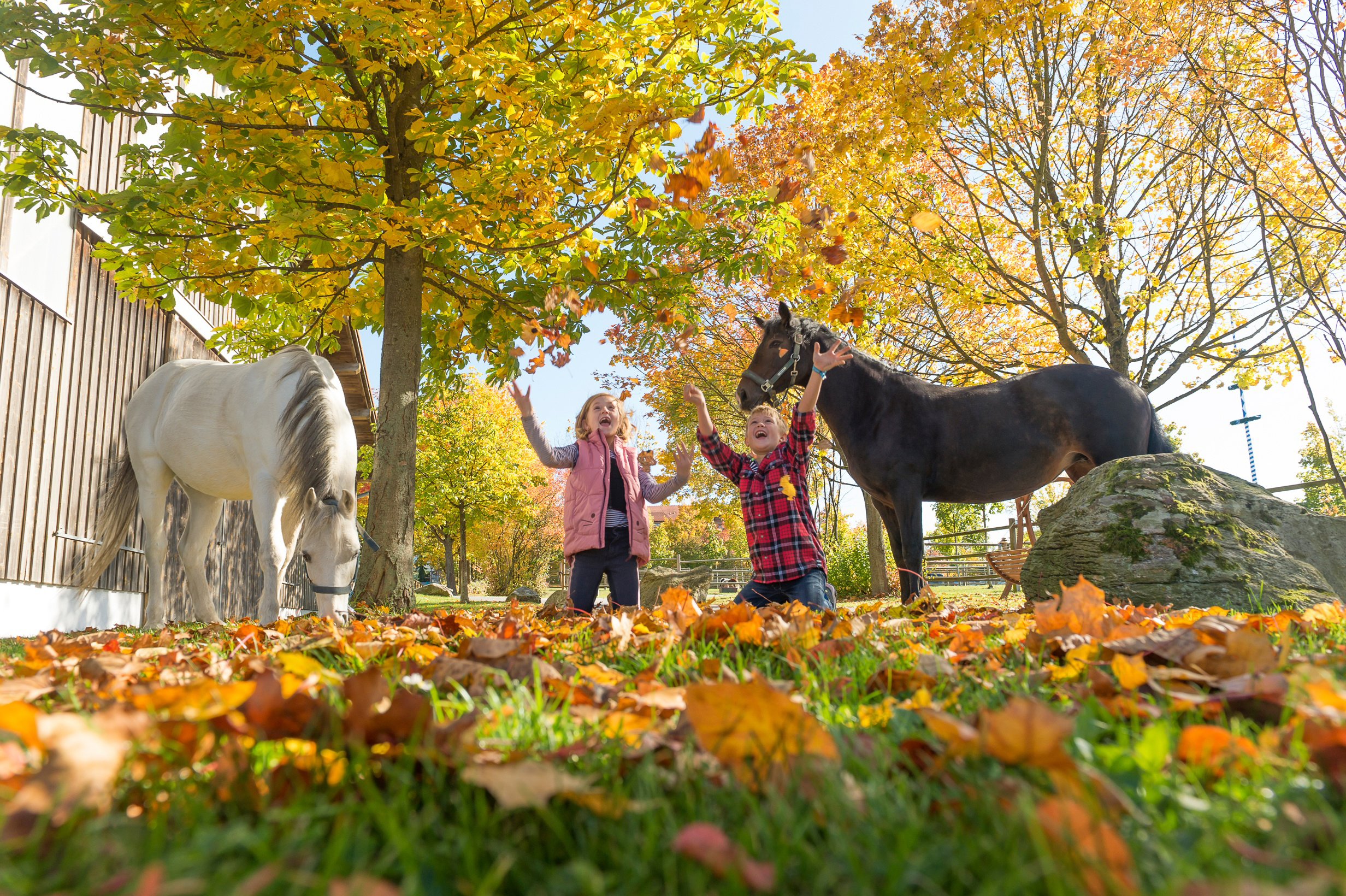 Goldene Herbstmomente - ULRICHSHOF Nature · Family · Design