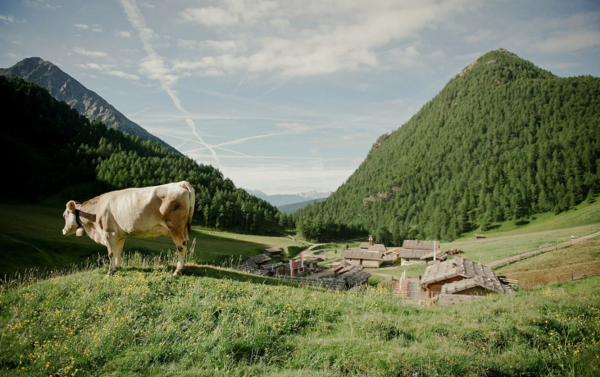 Sommergenuss in Südtirol - Hotel Masl