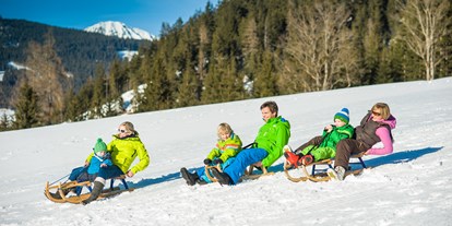 Familienhotel - Skilift - Schlittenfahren - Die Seitenalm