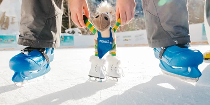 Familienhotel - Hunde: erlaubt - Oberbozen - Ritten - Eislaufen im eigenen Snowpark - Kinderhotel Sonnwies