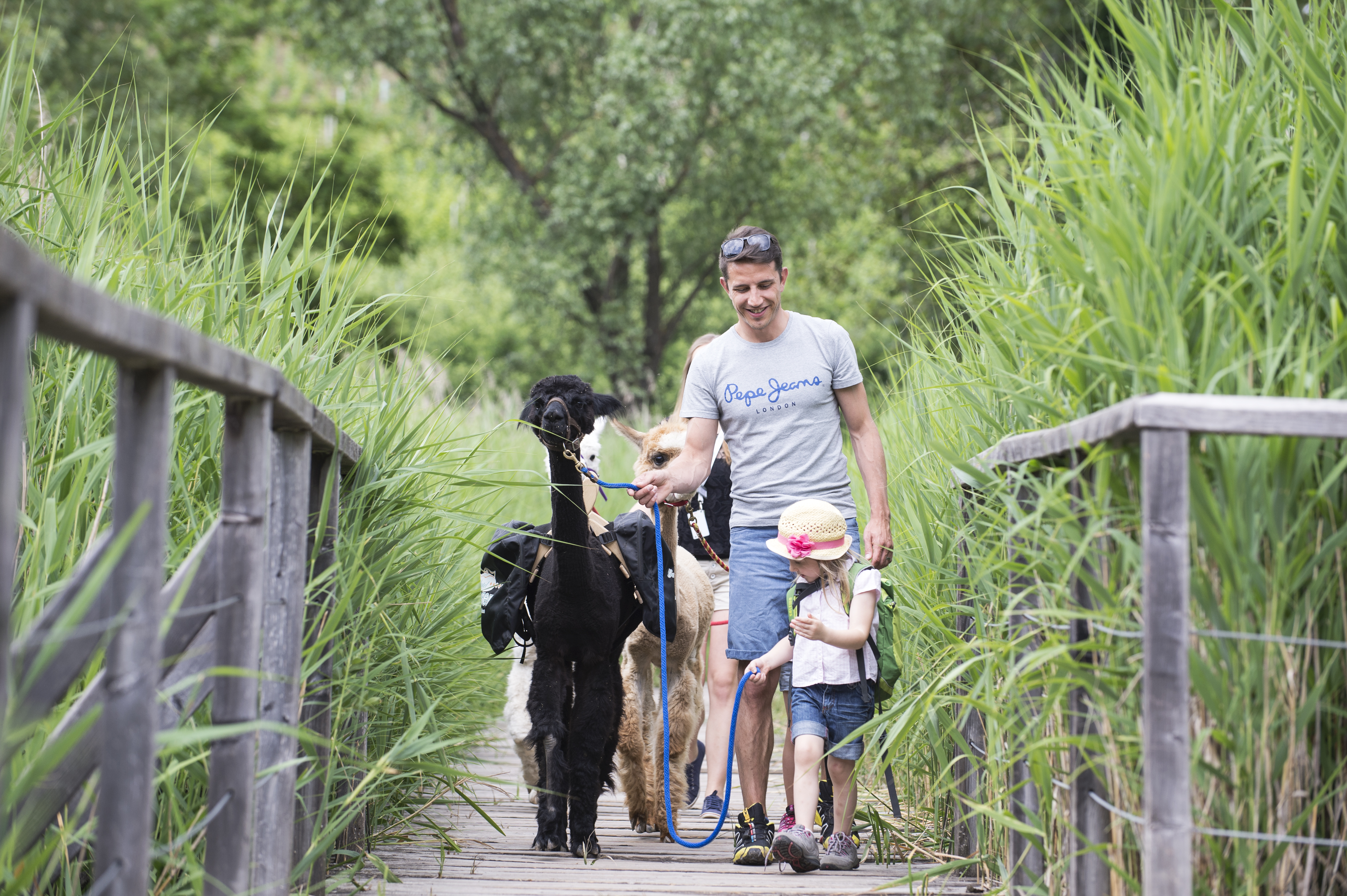 Kinderhotel - Alpaka-Trekkingtour mit dem Kinderclub - Gartenhotel Moser ****s