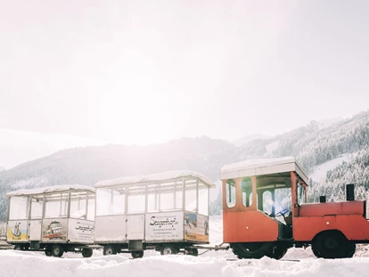 Familienhotel - Ladestation Elektroauto - Straßerberg - Gratis Bummelzug "Bruno" bringt unsere Gäste zum Skigebiet - Das Original Kinderhotel Stegerhof in der Steiermark
