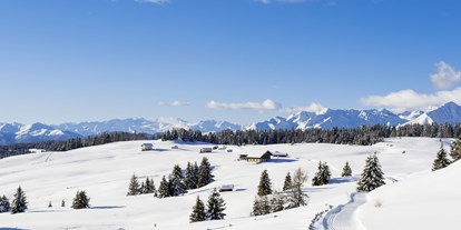 Familienhotel - Kinderbecken - Dorf Tirol - Klettern an der Kletterwand - Familienhotel Huber