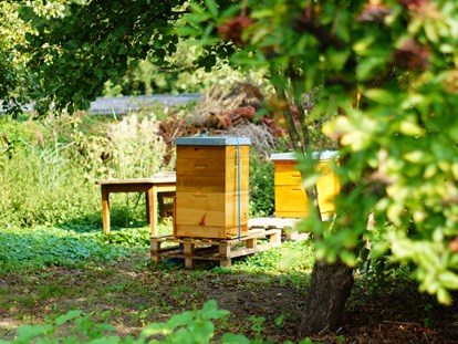 Familienhotel - Preisniveau: günstig - Gelbensande - Bienengarten - Familienhotel am Tierpark