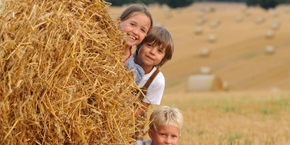 Familienhotel - bewirtschafteter Bauernhof - Deutschland - Spielen in der Mecklenburger Natur - Golchener Hof