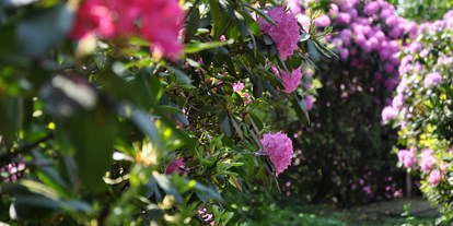 Familienhotel - Hunde: erlaubt - Rhododendronpark - Gut Landegge Familotel Emsland