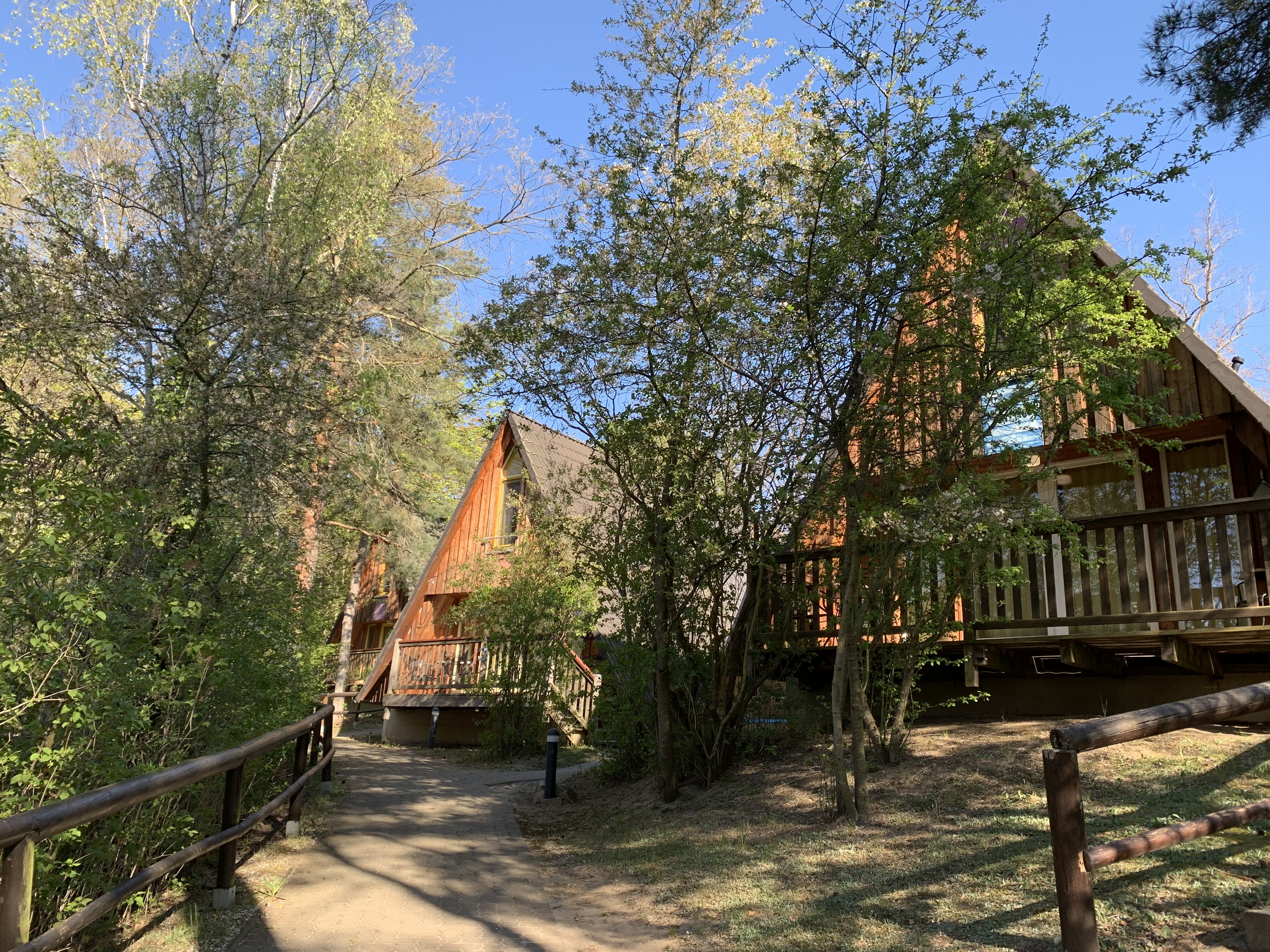 Kinderhotel - Harzer Hütten und Brockenhäuser - Family Club Harz