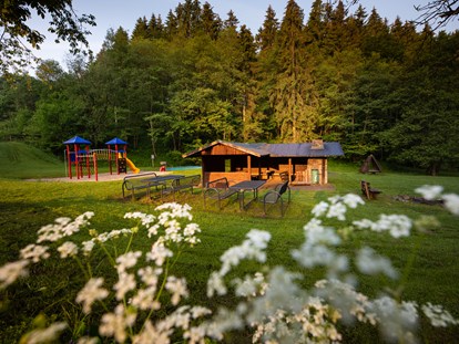 Familienhotel - Umgebungsschwerpunkt: See - Waldspielplatz - Familotel Ottonenhof - Die Ferienhofanlage im Sauerland