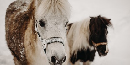 Familienhotel - Hunde: hundefreundlich - Leogang - Schneespaß für die Ponies - Gut Berg Naturhotel