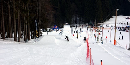 Familienhotel - Spielplatz - Skiarea Heubach, nur 1,5 km entfernt, mit 600 m Skipiste, Schlepplift, Nachtskifahren, Lernpark für die Kleinen und Funpark für alle waghalsigen Snowboarder und Freeskier - Werrapark Resort Hotel Heubacher Höhe