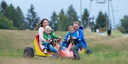 Familienhotel - Kinderbecken - Deutschland - Deval Cart - ein Spaß für die Familie - Mein Krug