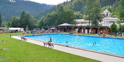 Familienhotel - Kinderbecken - Deutschland - im Ort Waldschwimmbad Warmensteinach
 - Mein Krug
