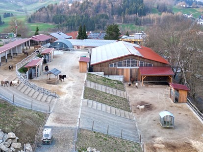 Familienhotel - Sauna - Grub (Neustift im Mühlkreis, Rohrbach-Berg) - Aktiv Stall - einzigartig in dieser Weise - Familotel Landhaus zur Ohe