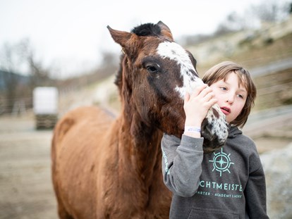Familienhotel - Kinderbetreuung - Auf Tuchfühlung mit unseren Pferden  - Familotel Landhaus zur Ohe