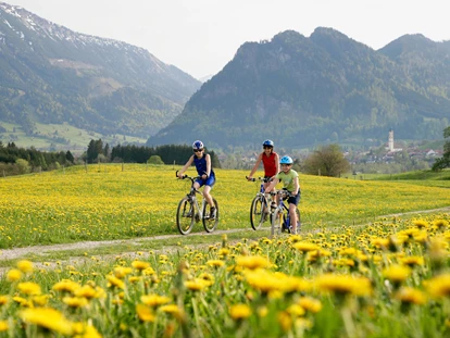 Familienhotel - Umgebungsschwerpunkt: am Land - Hochkrumbach - Fahrradtour - Familotel Bavaria Pfronten