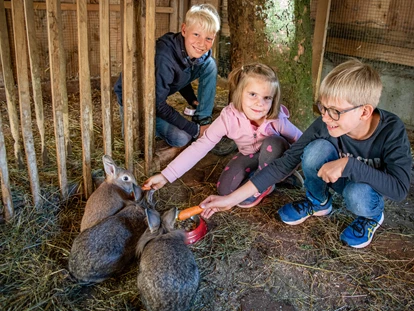 Familienhotel - Hallenbad - Neuschitz - Der Kleintierbauernhof ist besonders bei Kindern sehr beliebt.  - Familienhotel Oberkarteis