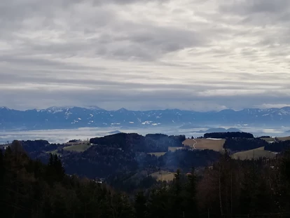 Familienhotel - Umgebungsschwerpunkt: Berg - Aich (Feldkirchen in Kärnten) - Sicht vom Petschnighof - Familien Resort Petschnighof