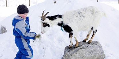 Familienhotel - Skikurs direkt beim Hotel - Auch im Winter wollen die Tiere Futter - Kinderhotel Felben