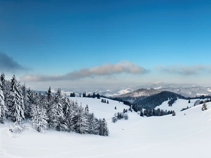 Familienhotel - Ladestation Elektroauto - Freiburg im Breisgau - Der Schwarzwald, zu jeder Jahreszeit eine Reise wert. Im Winter lockt der Schnee zur Bewegung im Freien z.B. beim Ski Langlauf, beim Ski Alpin, beim Rodeln oder Schneeschuhwanderungen. Wer es lieber gemütlich mag, lässt sich vom Pferdeschlitten durch die verschneite Landschaft ziehen. - Vier Jahreszeiten am Schluchsee