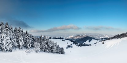 Familienhotel - Babysitterservice - PLZ 79868 (Deutschland) - Der Schwarzwald, zu jeder Jahreszeit eine Reise wert. Im Winter lockt der Schnee zur Bewegung im Freien z.B. beim Ski Langlauf, beim Ski Alpin, beim Rodeln oder Schneeschuhwanderungen. Wer es lieber gemütlich mag, lässt sich vom Pferdeschlitten durch die verschneite Landschaft ziehen. - Vier Jahreszeiten am Schluchsee