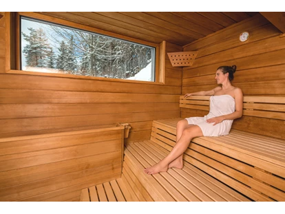 Familienhotel - Einzelzimmer mit Kinderbett - Freiburg im Breisgau - Saunabereich für die Erwachsenen - zu speziellen Zeiten wird auch Familiensauna angeboten - Vier Jahreszeiten am Schluchsee