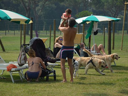 Familienhotel - Umgebungsschwerpunkt: Meer - Hundefreundliche Ferienanlage - Club Village & Hotel Spiaggia Romea