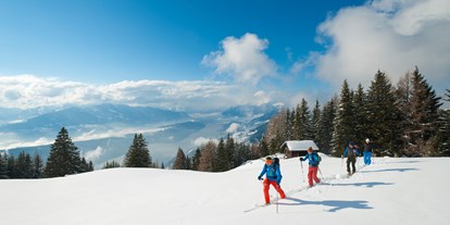 Familienhotel - Umgebungsschwerpunkt: Therme - PLZ 9852 (Österreich) - Skitourengeher - Hotel St. Oswald